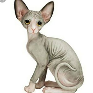 Meet your Posher, Cortney